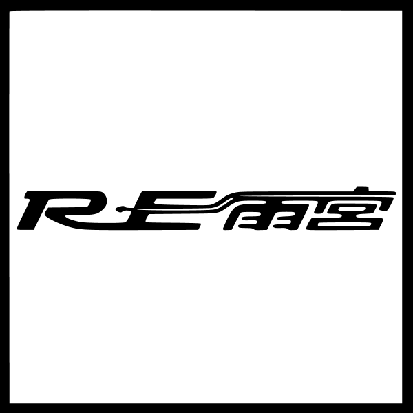RE Amemiya