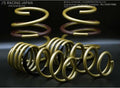 J'S RACING - HYPER SPRING Lowering Spring for Honda Civic Type R FL5